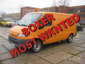 Most Wanted Boxer